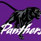 Eastern Illinois Panthers 3x5 ft sports Team flag