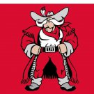 UNLV Runnin' Rebels Digital Printing