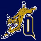Quinnipiac Bobcats Digital Printing Banners