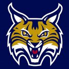 Quinnipiac Bobcats Digital Printing Banners