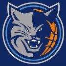 Quinnipiac Bobcats Digital Printing Banners