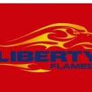 Liberty Flames Hand Flag 3x5 ft Club Basketball