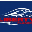 Liberty Flames Hand Flag 3x5 ft Club Basketball