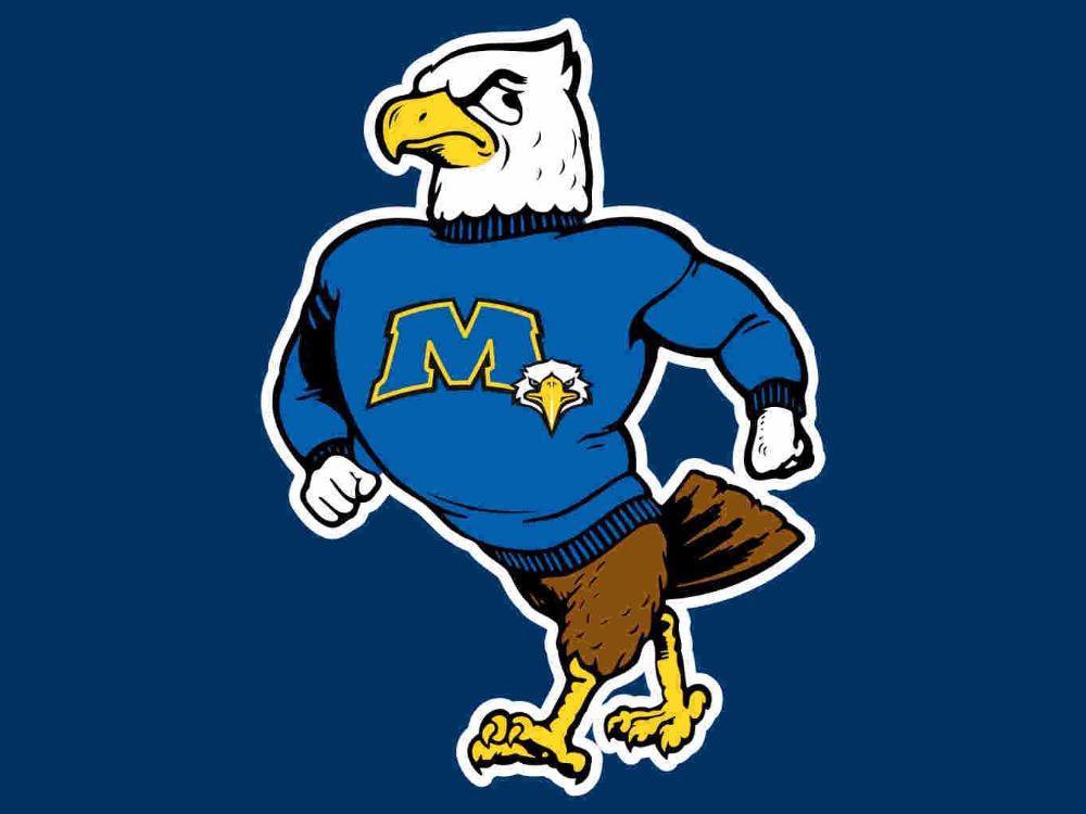 Morehead State Eagles Logo Hand Flag 3x5 ft