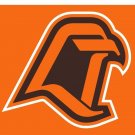 Bowling Green Falcons Hand Flag 3x5 ft