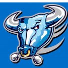 Buffalo Bulls Hand Flag 3x5 ft