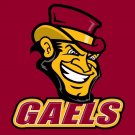 Iona Gaels Hand Flags Banners 3x5 ft