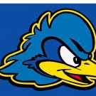 Delaware Fightin' Blue Hens Hand Flag 3x5 ft