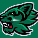 Binghamton Bearcats Hand Flag 3x5 ft