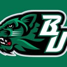 Binghamton Bearcats Hand Flag 3x5 ft