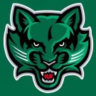Binghamton Bearcats Hand Flag 3x5 ft