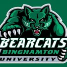 Binghamton Bearcats Hand Flag 3x5 ft