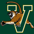 Vermont Catamounts 3x5 ft Digital Printing