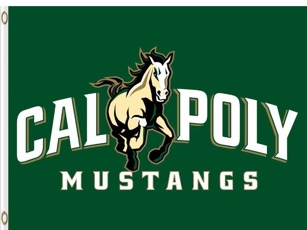 Cal Poly Mustangs Hand Flag 3x5 ft