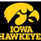 Iowa Hawkeyes Hand Flags 3x5 ft