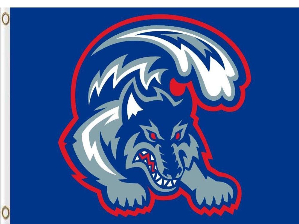 Stony Brook Seawolves Flags Banners 3x5 ft