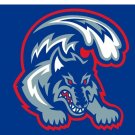 Stony Brook Seawolves Flags Banners 3x5 ft