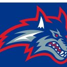 Stony Brook Seawolves Flags Banners 3x5 ft