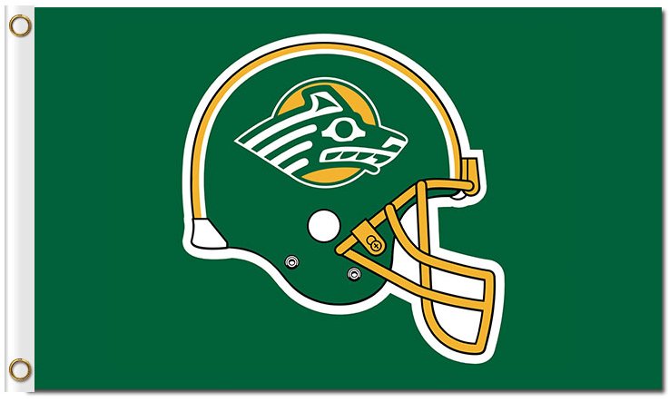 Alaska Anchorage Seawolves Logo Hand Flag 3x5 ft