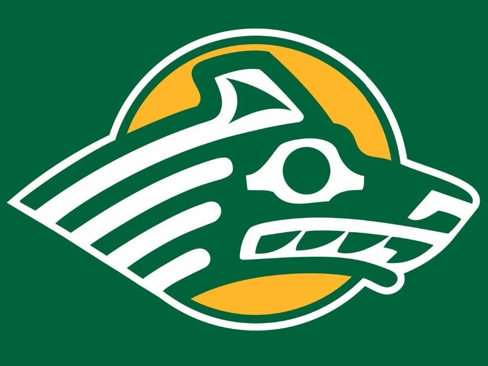 Alaska Anchorage Seawolves Logo Hand Flag 3x5 ft
