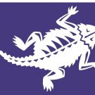 TCU Horned Frogs Digital Printing flag 3x5 ft