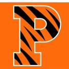 Princeton Tigers sports team flag 3x5 ft