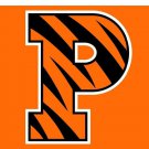 Princeton Tigers sports team flag 3x5 ft