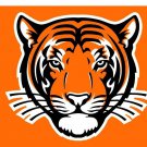 Princeton Tigers sports team flag 3x5 ft