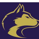 Washington Huskies sports team flag 3x5 ft