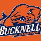 Bucknell Bison Hand Flag 3x5 ft Club Basketball