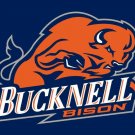 Bucknell Bison Hand Flag 3x5 ft Club Basketball