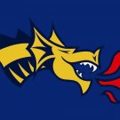 Drexel Dragons Hand Flag 3x5 ft Club Basketball