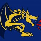 Drexel Dragons Hand Flag 3x5 ft Club Basketball