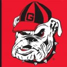 Georgia Bulldogs Hand Flag 3x5 ft Club Basketball