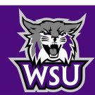 Weber State Wildcats Digital Printing flag 3x5 ft