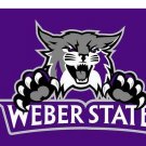 Weber State Wildcats Digital Printing flag 3x5 ft