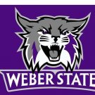 Weber State Wildcats Digital Printing flag 3x5 ft