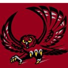Temple Owls flag 3x5 ft Digital Printing
