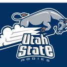 Utah State Aggies sports team flag 3x5 ft
