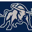 Utah State Aggies sports team flag 3x5 ft