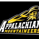 Appalachian State Mountaineers Logo Hand Flag 3x5 ft