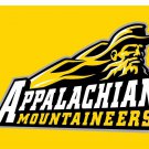 Appalachian State Mountaineers Logo Hand Flag 3x5 ft