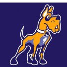 Albany Great Danes Logo Hand Flag 3x5 ft