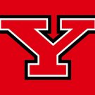 Youngstown State Penguins flag 3x5 ft