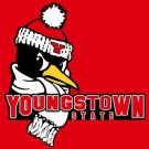 Youngstown State Penguins flag 3x5 ft