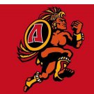 San Diego State Aztecs 3x5 ft sports team flag