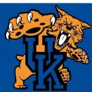 Kentucky Wildcats Hand Flag 3x5 ft
