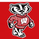 Wisconsin Badgers 3x5 ft Digital Printing