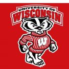 Wisconsin Badgers 3x5 ft Digital Printing