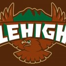 Lehigh Mountain Hawks Hand Flag 3x5 ft